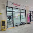 로마네335
