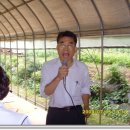 낙성초교 이미지