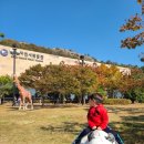 영산호관광지 | [7박 8일 남해안 공룡 투어] 7일차 오전, 목포는 박물관의 도시였어!! - <목포 자연사 박물관>&amp; <국립...