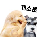 닥터호오동물병원 네이버블로그