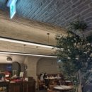 비노바인 이미지