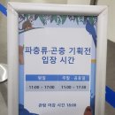 스카이비즈넷(주) | 초등 3학년도 만족한 아쿠아플라넷 일산 방문 후기(이용정보, 꿀팁)