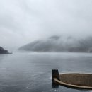 호숫가보금자리 이미지