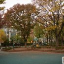 도요새어린이공원 이미지