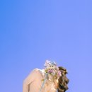 제주 하연 이미지