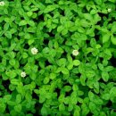 우포늪주차장 이미지