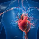 짐헥사곤 이미지