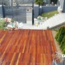 다인카페 이미지