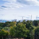 강정동-39 이미지