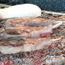 감사한양 마곡점 이미지