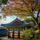 광산사밑 계곡 | 11월 청주 힐링 여행 추천 괴산 공림사, 천년 느티나무가 품은 고요한 산사 여행기