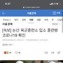 [속보] 논산 육군훈련소 입소 훈련병 코로나19 확진 이미지