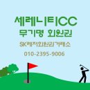 SK레저회원권거래소 이미지