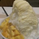 코레일유통(주)서울역 마포만두 | 두 달치 기록