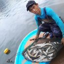 빨간장어 이미지