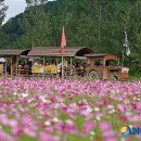 부여군청 광장 이미지