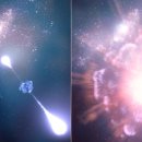 pet176나8690 이미지