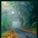 솔바람 물결소리 이미지