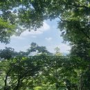 1박 3만원 백패킹 데크 사이트가 매력적인 가평 파머스힐캠핑장 (+수영장)
