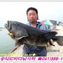 복운1리 이미지
