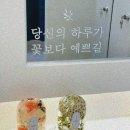 피부, 빛나리 에스테틱