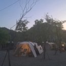 포시즌오토캠핑장 이미지