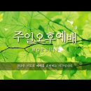 240915. 믿음의 달인. 박원한 목사(태백한사랑교회) 이미지