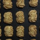 부산패션칼라노동조합 | 03.10