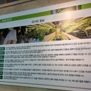 상록건강식품 | 싸먹는 오리 처음 먹어봤어요! 안산 오리고기 맛집 "와싸오리" 방문후기(메뉴, 위치, 주차, 가격 정보)