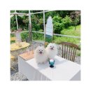 라운지모안 | [용인]애견동반카페, 앤드모안♥(위치, 주차, 특징 정리)