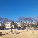 부산대학교 박물관 이미지