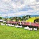 161스튜디오 이미지