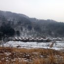 여행나무 Daum카페