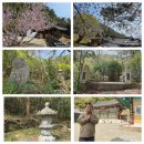 삼천장의사 네이버블로그