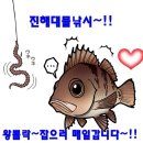 28일~밤뽈락~왕뽈락~씨알급까지 많타많아,엄청시리 잡고 쿨러만땅만땅 이미지