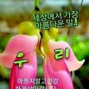 ♤지공선사(地空禪師)♧ 이미지