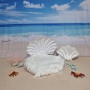 모리아팜 | 유메모리아:) 셀프 50 100 백일촬영 사진 추천 인어공주컨셉 소품대여 가격 및 후기