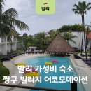 퍼피랩 | 발리 짱구 가성비 숙소 추천! 짱구 빌리지 어코모데이션 수영장 객실 조식 후기