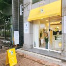 까까요 dog 이미지