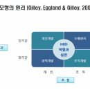 여기 HRD
