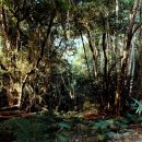 자연관찰 탐구활동 | 공간과 사회적 구조를 탐구하는 사진가, 토마스 스트루스