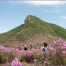 정기산행 5/18(화) 황매산 철죽꽃축제:폭우로인하여 취소 이미지