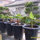 성장농장 이미지