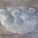 비봉 낚시터 | 아이와 가볼만한 곳 추천, 전남 보성 비봉공룡알화석지