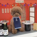 뒷고기포차 | [대구 비산동] 서구 맛집 추천, 야외 감성포차 금복뒷고기 비산본점 후기, 반려동물 동반 가능