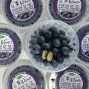 “[다리골농장] 의령 블루베리 생과 판매 시작! 직거래로 신선하게 보내드려요 🍇”