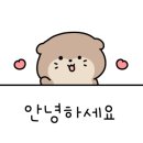 해안29번가 이미지