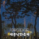 행복도시세종홍보관 | 2026 세종낙화축제 기본정보 예약 야간데이트 주차 후기