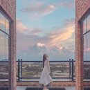 브로딕 제주 이미지