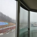 산호대로-21 이미지